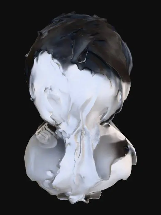 3D model for Portrait of a 19th Century Officer