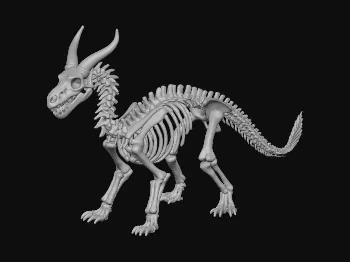 3D model for Drake Skeleton
