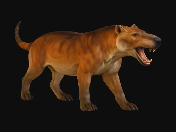 3D model for Andrewsarchus Warg