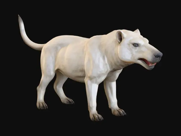 3D model for White Andrewarchus