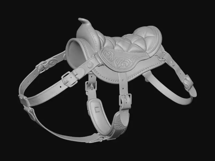 3D model for Raptor Saddle