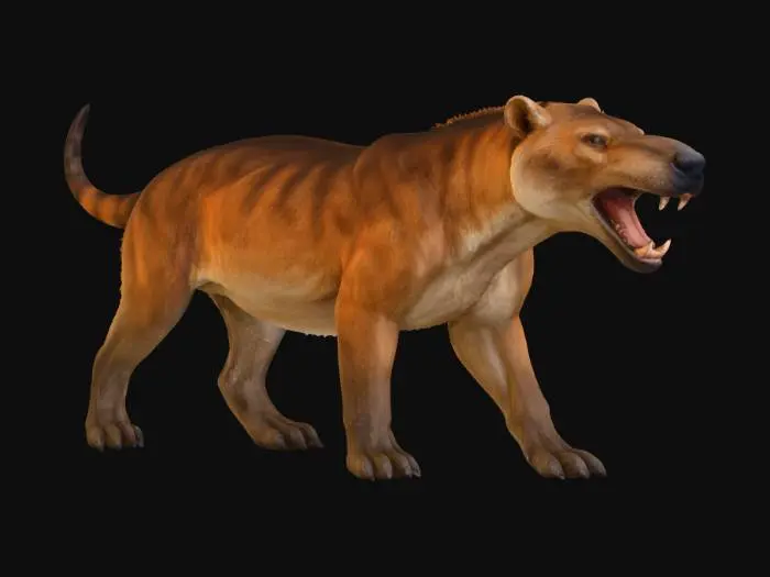 3D model for Andrewsarchus Warg