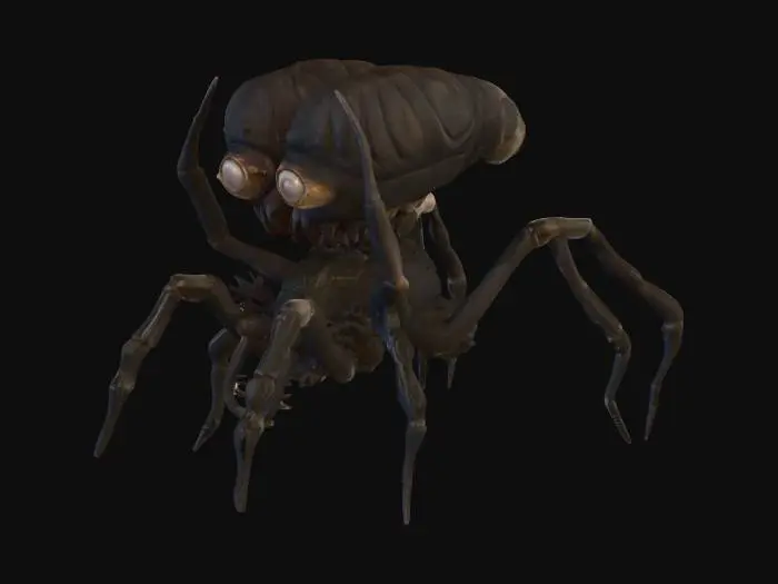 3D model for a spider with two heads