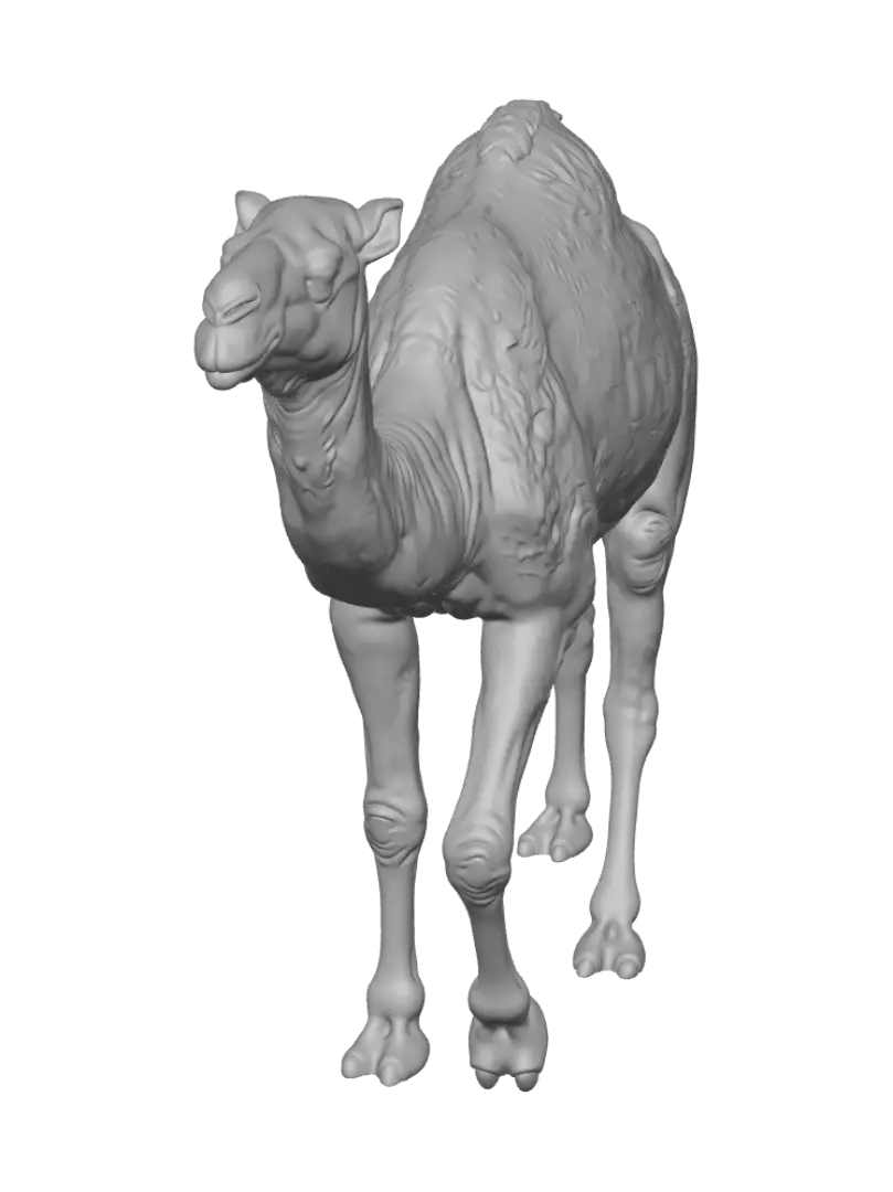 saddle