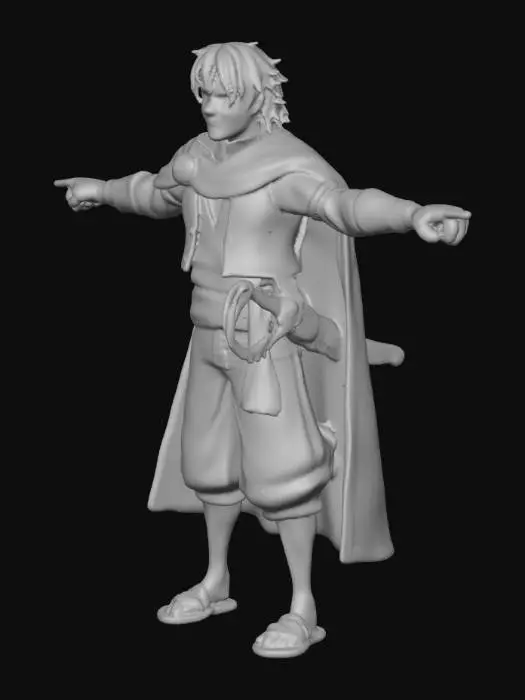 3D model for Swashbuckler Hero