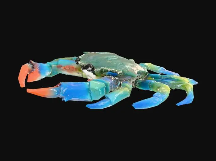 3D model for Mr Crab