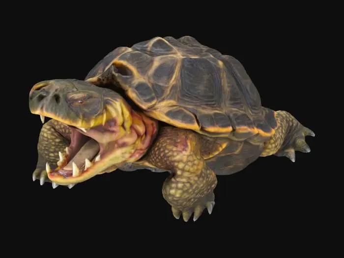 3D model for Snapping turtle , prehistoric, detailed open mouth, scary , sculpt 