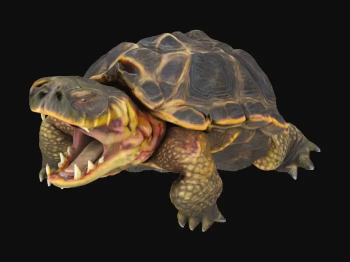 3D model for Snapping turtle , prehistoric, detailed open mouth, scary , sculpt 