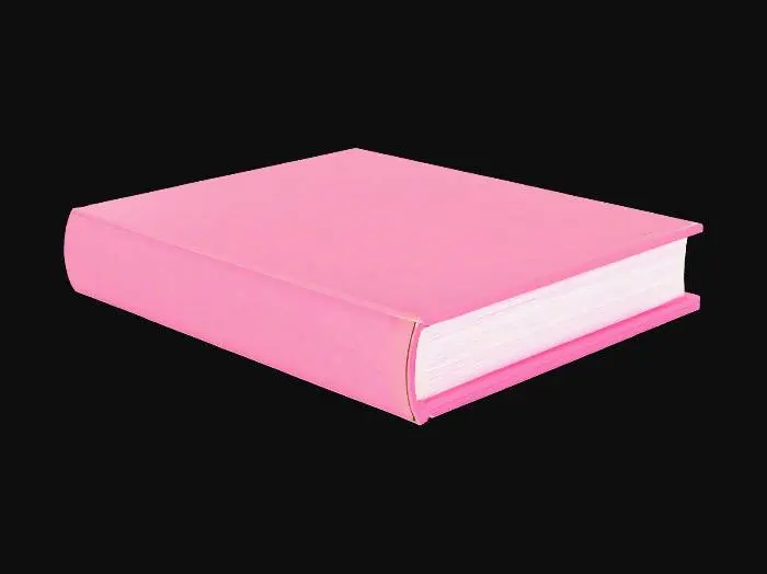 3D model for Mean Girls 3d pink burn book closed