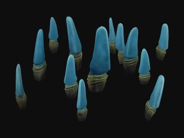 3D model for Avatar: Frontiers of Pandora Bladder Polyp
