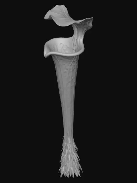 3D model for Avatar: Frontiers of Pandora Chalice Plant