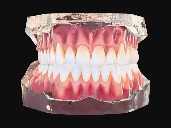 3D model for Dental Model Display