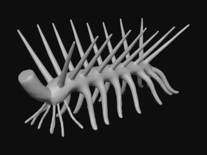 3D model for hallucigenia sparsa