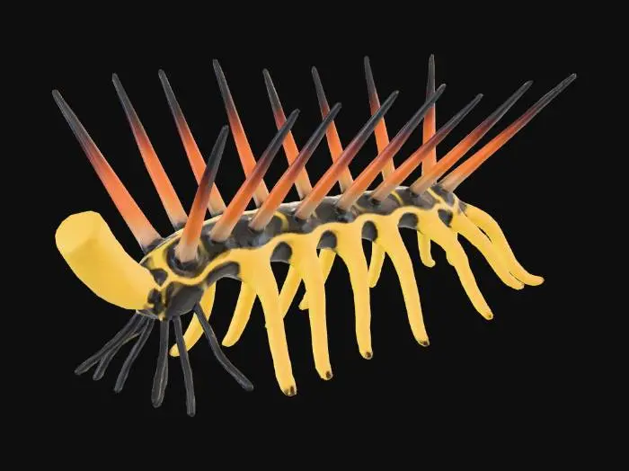 3D model for hallucigenia sparsa