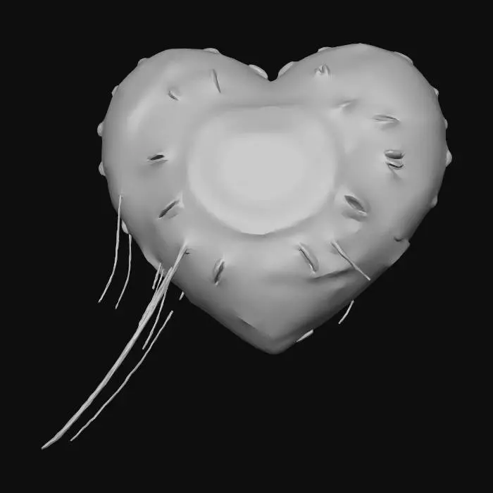 3D model for Heart Target