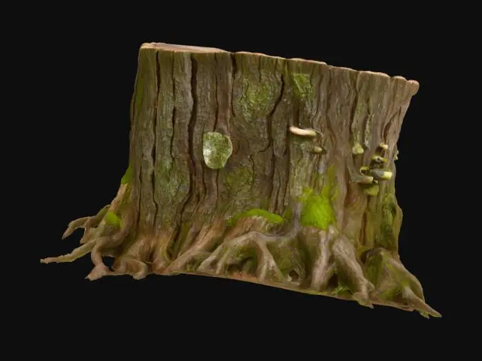 3D model for Resilient Roots