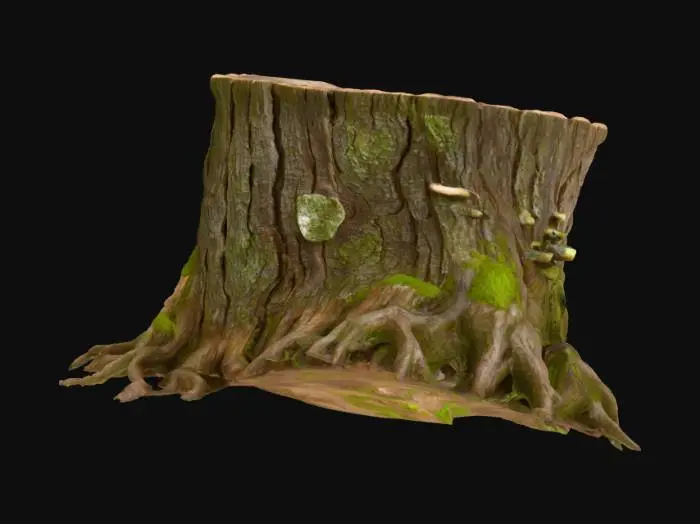 3D model for Resilient Roots