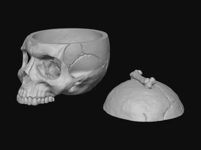 3D model for Skull Bowl with Lid
