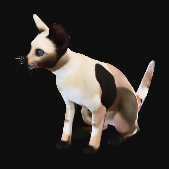 3D model for Siamese Kitten on Bed