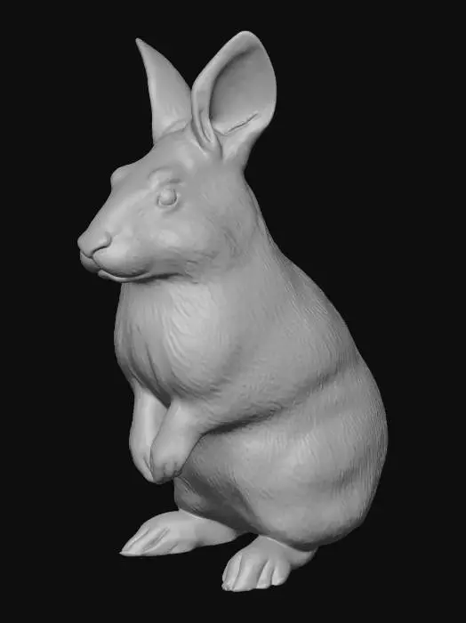 3D model for Curious Bunny