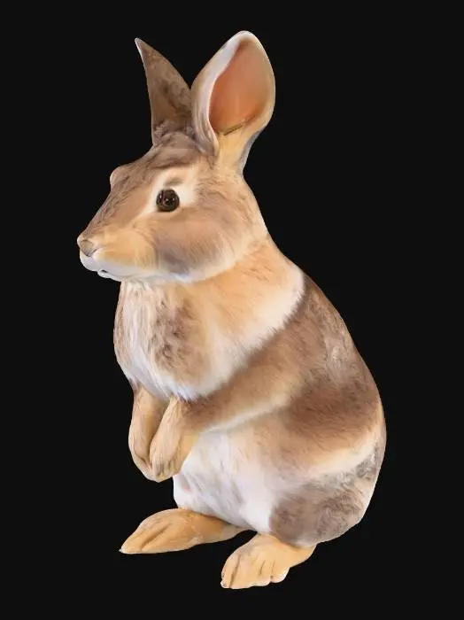 3D model for Curious Bunny