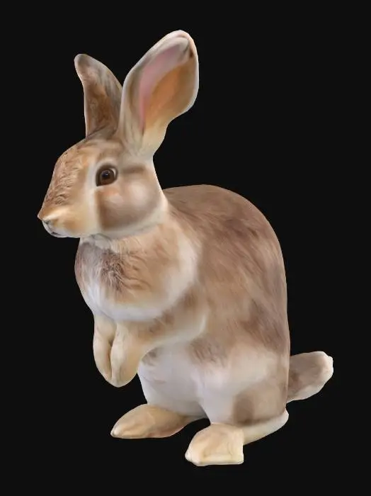 3D model for Curious Bunny