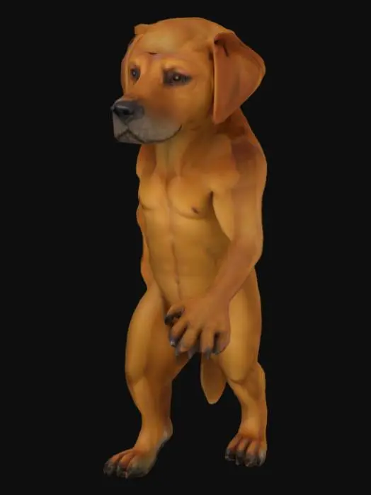 3D model for Canine Pose