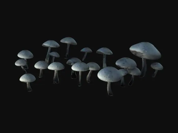 3D model for An 3d model of a clearing in a dark horrible forest, uncultivated, at night, dark, crowded with glowing magical red mushroomsith wite polka dots , horrifing magical, wild, impenetrable, Depth of Field, overgrown, grim, foggy, very detailed,.