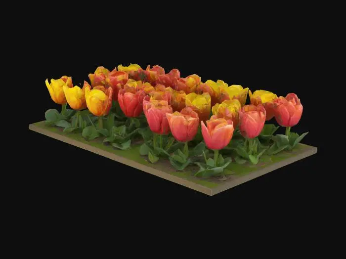 3D model for #garden#,  Keukenhof flower beds, Ultra Realistic, Utra Detailed and Ultra quality
