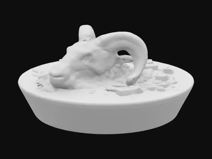 3D model for [Iran] Kalle Pache; consists of a sheep's head (including the brain).  #AroundTheWorld#