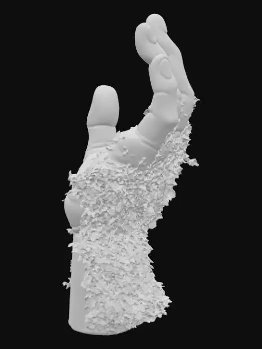 3D model for Reaching Nature