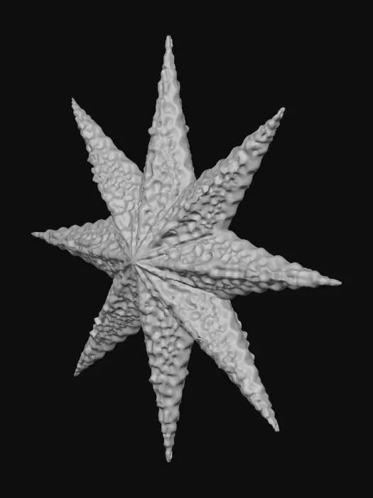 3D model for Crochet Christmas Star, #Christmas2025#
