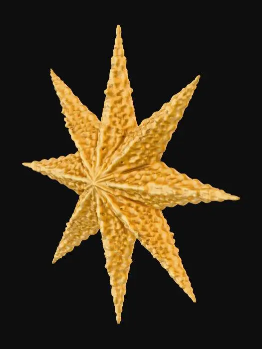 3D model for Crochet Christmas Star, #Christmas2025#