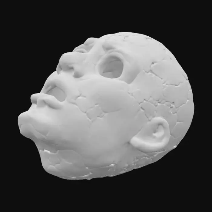 3D model for Fractured Visage