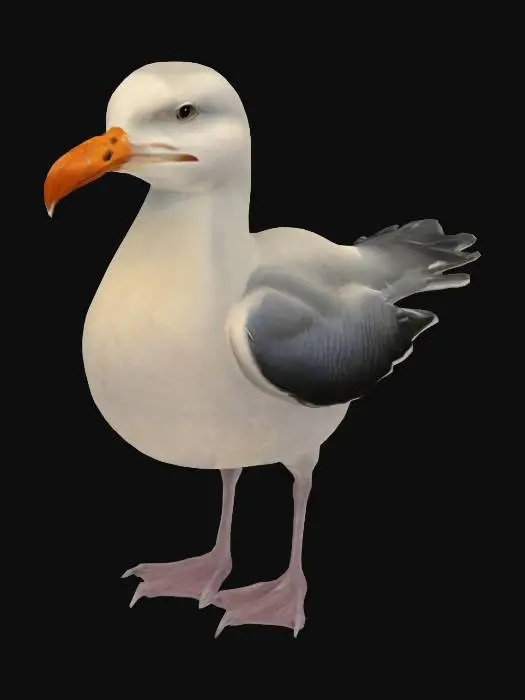 3D model for Seaside Sentinel