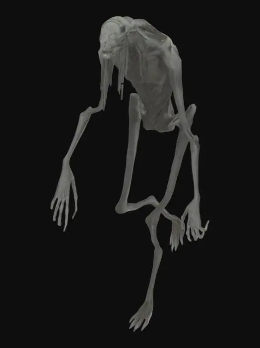 3D model for Forest Sentinel