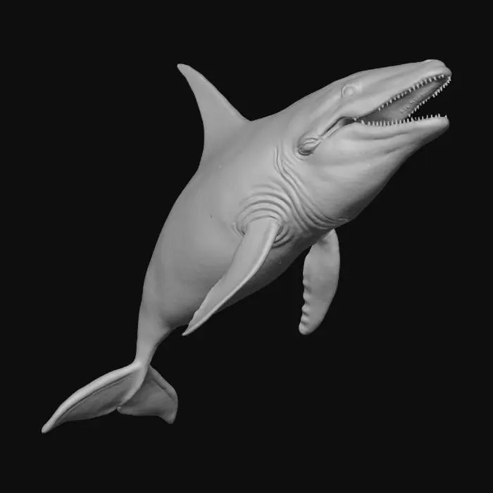 3D model for a giant whale