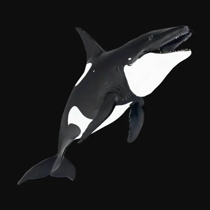 3D model for a giant whale