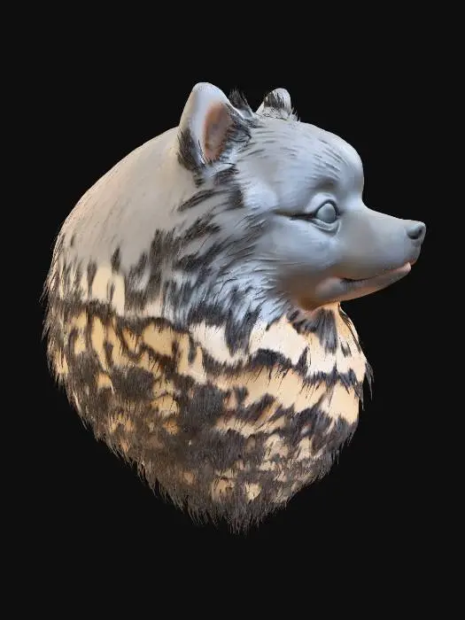 3D model for Fluffy Pomeranian