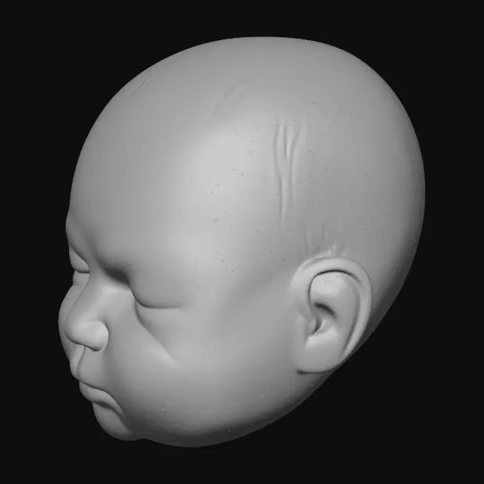3D model for ベイビーヘッドバース_t