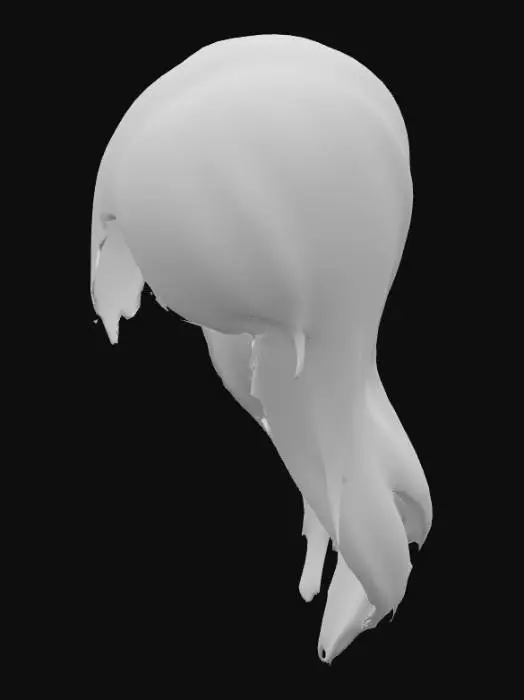 3D model for hairstyle07.png