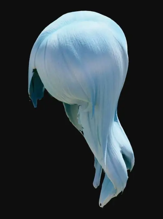 3D model for hairstyle07.png