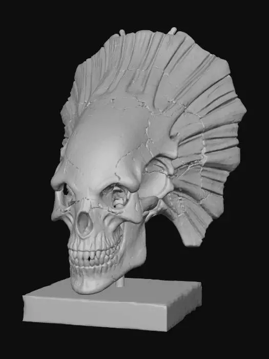 3D model for Crested Display Skull.jpeg