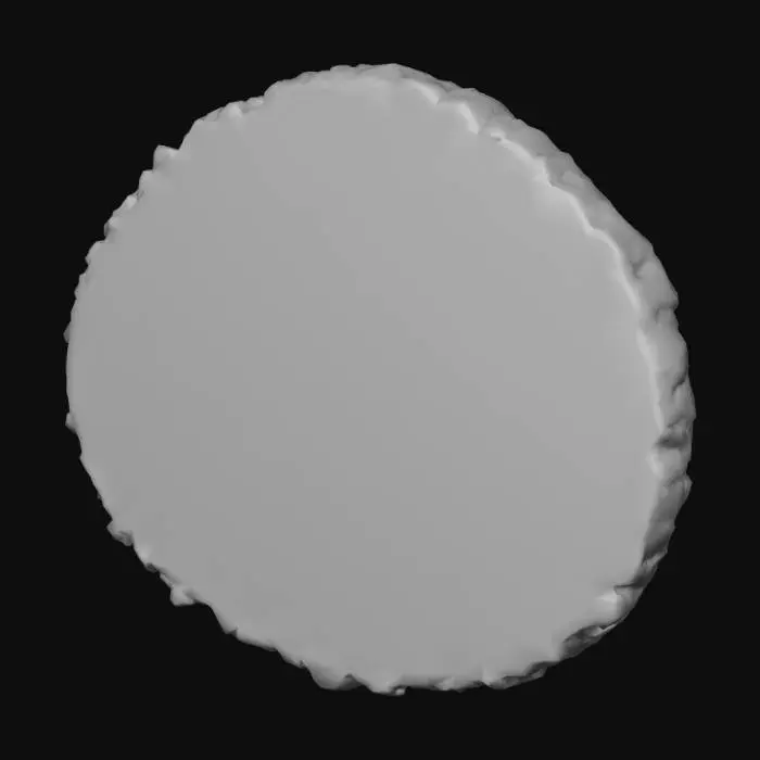 3D model for Tree Slice Wall Decor