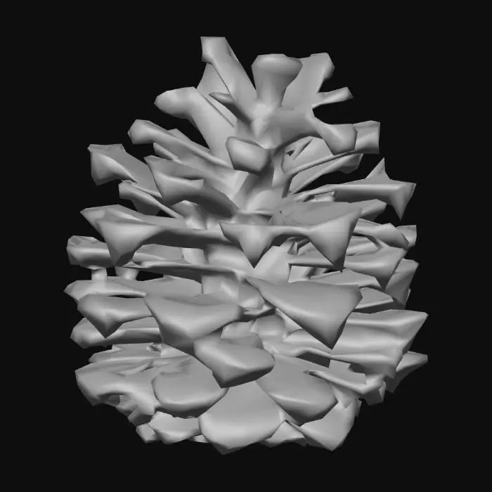 3D model for Pine Cone