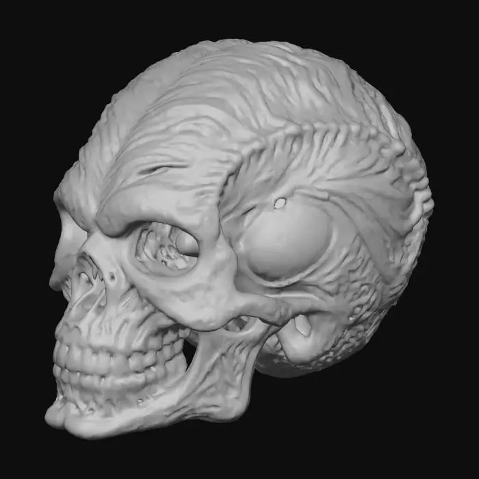 3D model for Petrified Sinew Texture.jpeg