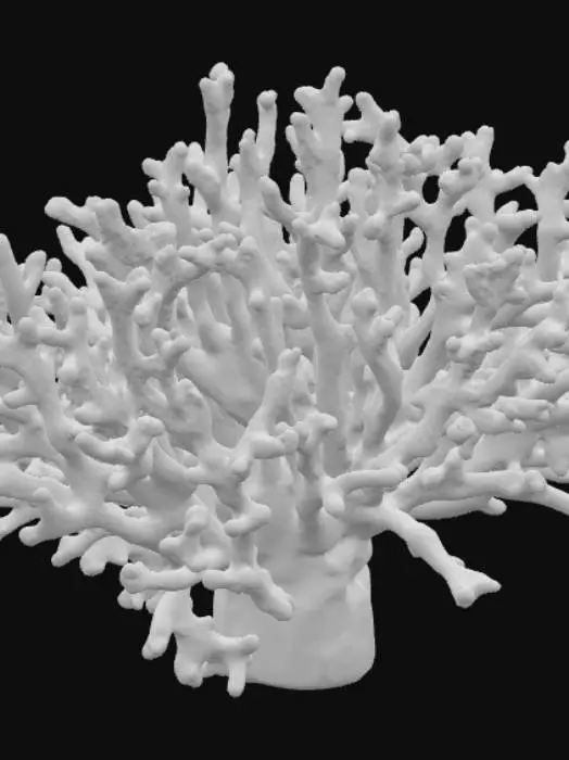 3D model for Rote Koralle