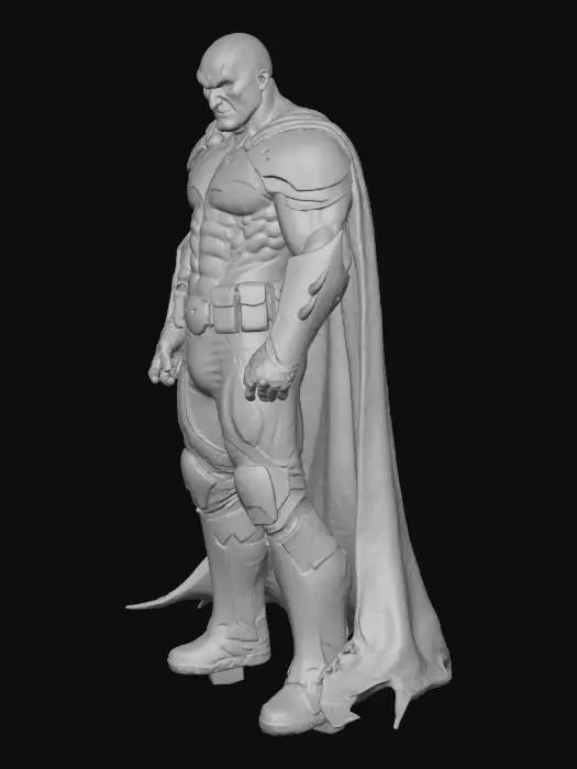 3D model for BatKratos