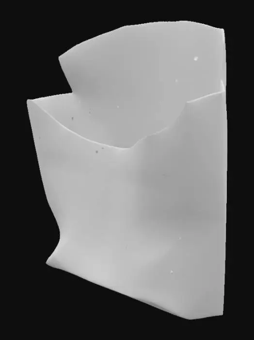 3D model for Empty Fry Container on Desk