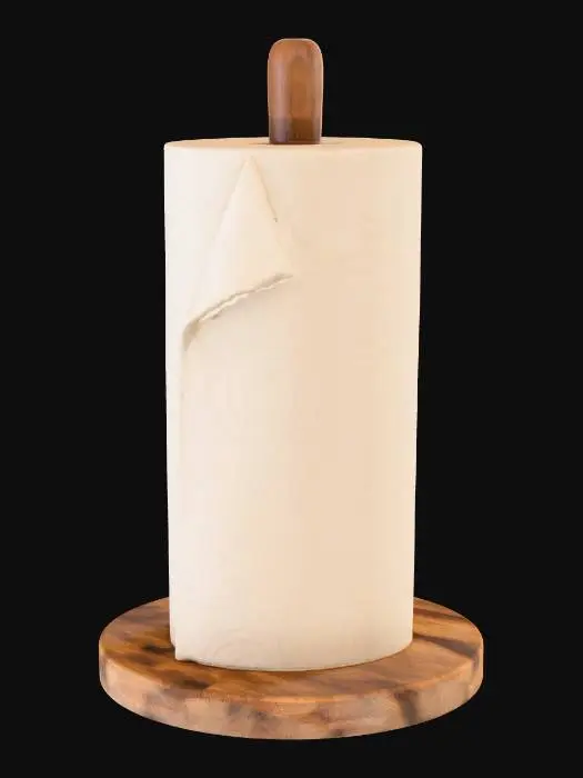 3D model for Paper Towel